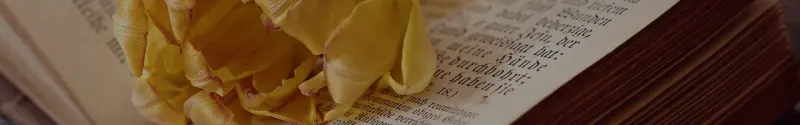 Lire en ligne des oeuvres de tout genre et publier ses oeuvres pour les partager