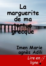 La marguerite de ma tortue grecque