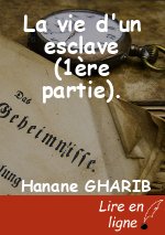 La vie d'un esclave (1ère partie).