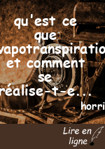 qu'est ce que l'évapotranspiration et comment se réalise-t-elle ?