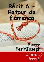 Récit 6 - Retour de flamenco
