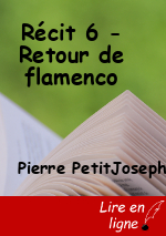 Récit 6 - Retour de flamenco