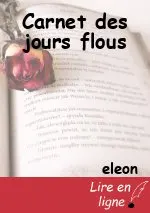 Carnet des jours flous