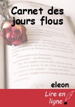 Carnet des jours flous