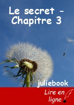Le secret - Chapitre 3