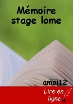 Mémoire stage lome