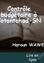 Contrôle budgétaire à Cotontchad-SN