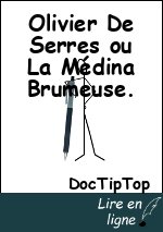 Olivier De Serres ou La Médina Brumeuse.