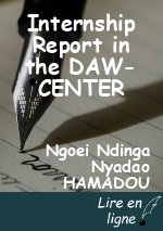Internship Report in the DAW-CENTER
