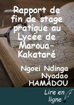 Rapport de fin de stage pratique au Lycée de Maroua-Kakataré