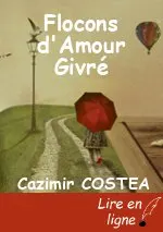 Flocons d'Amour Givré