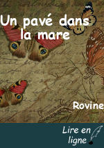 Un pavé dans la mare