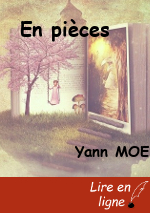 En pièces