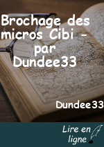Brochage des micros Cibi - par Dundee33