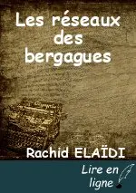 Les réseaux des bergagues
