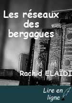 Les réseaux des bergagues