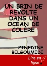 UN BRIN DE REVOLTE DANS UN    OCÉAN       DE COLÈRE