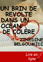 UN BRIN DE REVOLTE DANS UN    OCÉAN       DE COLÈRE