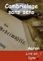 Cambriolage sans sens