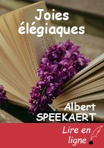 Joies élégiaques