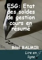 ESG: Etat des soldes de gestion cours en résumé