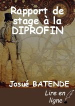 Rapport de stage à la DIPROFIN