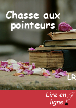 Chasse aux pointeurs