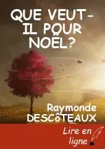 QUE VEUT- IL POUR NOËL?