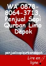 WA 0878-8064-3713, Penjual Sapi Qurban Limo Depok