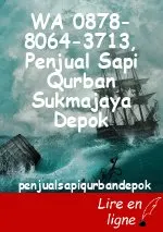 WA 0878-8064-3713, Penjual Sapi Qurban Sukmajaya Depok