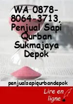 WA 0878-8064-3713, Penjual Sapi Qurban Sukmajaya Depok