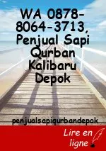 WA 0878-8064-3713, Penjual Sapi Qurban Kalibaru Depok
