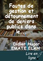 Fautes de gestion et détournement de deniers publics dans les canons de la discipline budgétaire au Cameroun