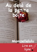 Au delà de la petite boîte