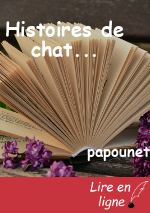 Histoires de chat...