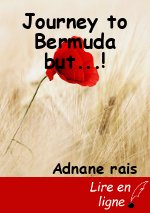 Journey to Bermuda but...!