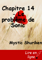 Chapitre 14 - Le problème de Sonic