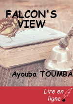 FALCON'S VIEW