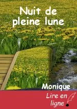 Nuit de pleine lune