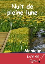 Nuit de pleine lune