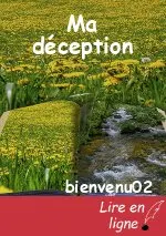 Ma déception