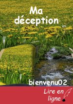 Ma déception