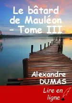 Le bâtard de Mauléon – Tome III