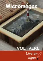 Micromégas