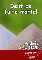 Délit de fuite mortel