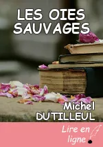 LES OIES SAUVAGES