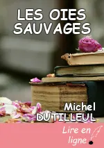 LES OIES SAUVAGES