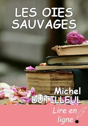 LES OIES SAUVAGES