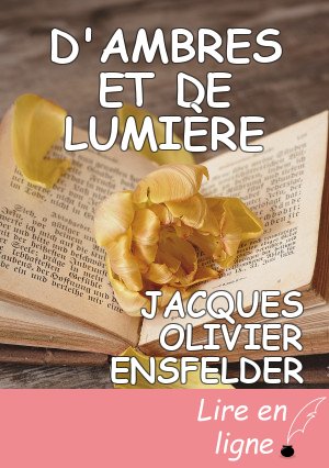 D'AMBRES ET DE LUMIÈRE