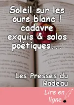 Soleil sur les ours blanc ! cadavre exquis & solos poétiques pour instruments divers, par Camille Contrais & Friends
